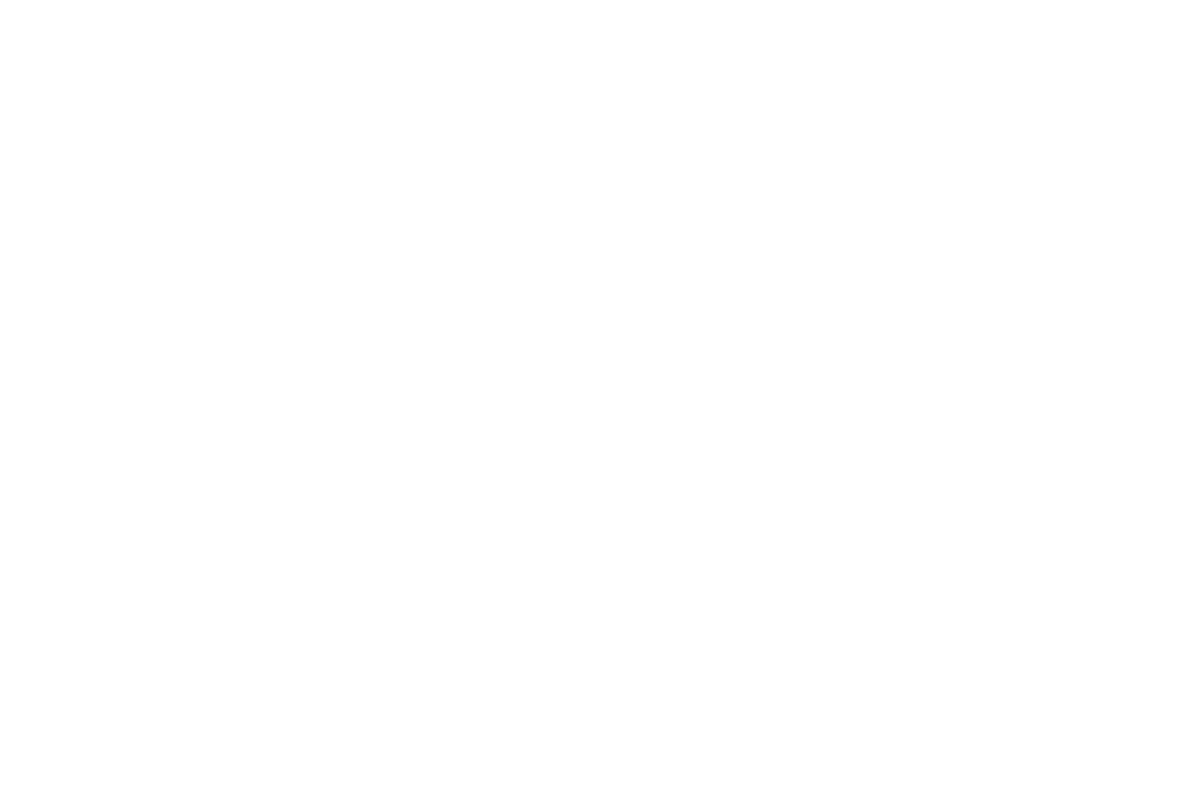 Dorra-Shield-Client-Logos-Elsewedy-Electric-Logo